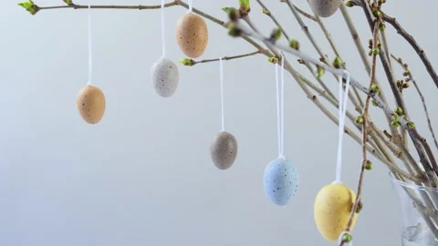 Easter decorative eggs on branches Stock Footage 236058049