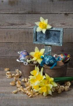 Easter decorative eggs in a pot and flowers of narcissus Stock Photos