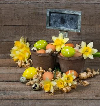 Easter decorative eggs in a pot and flowers of narcissus Stock Photos