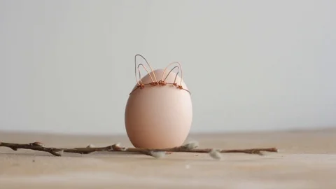 Easter DIY egg, made in bunny style. Minimal Easter concept Stock Footage 105871095