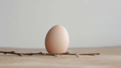 Easter DIY egg, made in bunny style. Minimal Easter concept Stock Footage 105871105