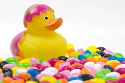 Easter Duck Stock Photos