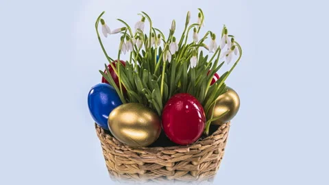 Easter. Easter composition. Blooming snowdrops. Colored Easter eggs. Timelapse. Video stock 127567121