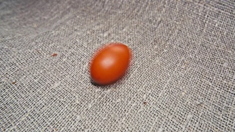 Easter, Easter egg roll on the surface Video stock 73434365