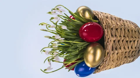 Easter. Easter eggs and decorations. Blooming snowdrops. Timelapse. Stock Footage 127619497