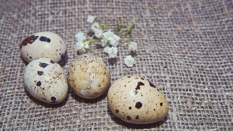 Easter, Easter eggs and flowers Vídeo Stock 73418369