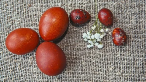 Easter, Easter eggs and flowers Видео 73425178