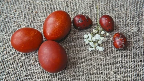 Easter, Easter eggs and flowers Stock Footage 73425200