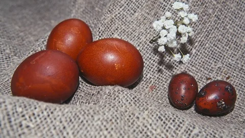 Easter, Easter eggs and flowers Stock Footage 73440191