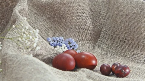 Easter, Easter eggs and flowers Video stock 73441302