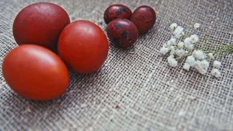 Easter, Easter eggs and flowers Stock Footage 73452080