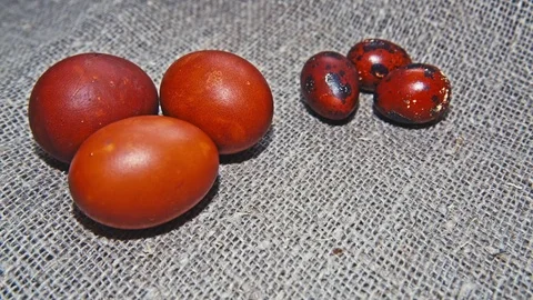 Easter, Easter eggs 스톡 동영상 73434163