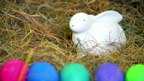 Easter. easter eggs on greenbox Video stock 168350862
