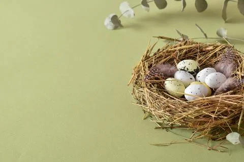 Easter eco composition. Easter. copy space. minimalism for easter Stock Photos