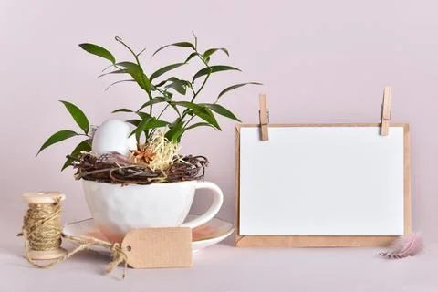 Easter eco composition with eggs in a cup. Stock Photos