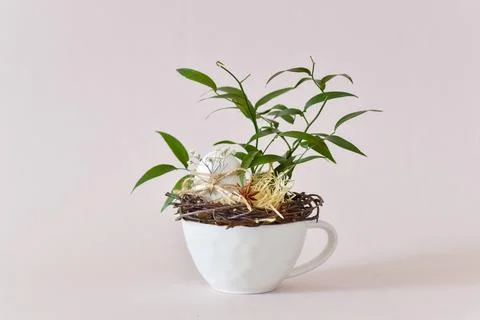 Easter eco composition with a natural egg. Minimalism. Stock Photos