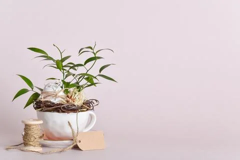 Easter eco composition with a natural egg. Minimalism Stock Photos