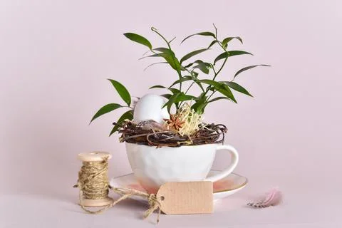 Easter eco composition with a natural egg. Minimalism Foto stock