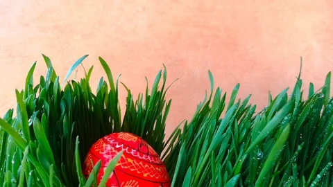 Easter egg among green fresh grass Stock Footage 104193481