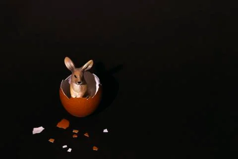 Easter egg and bunny 스톡 사진