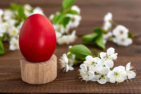 Easter egg and cherry flowers on wooden background Stock Photos