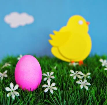 Easter Egg and Chick Concept Stock Photos