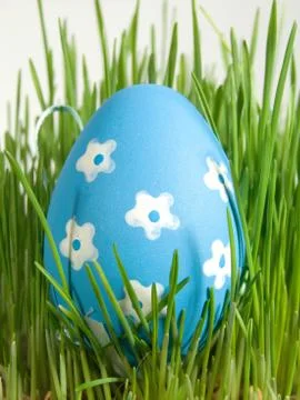 Easter egg and daisy Stock Photos