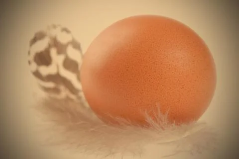 Easter egg and feather Stock Photos