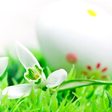 Easter egg and flower Stock Photos