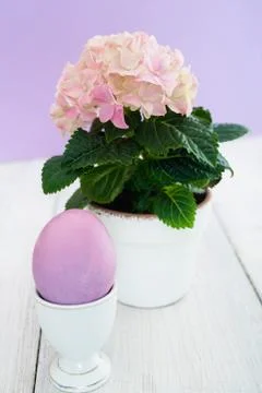 Easter egg and a flower Stock Photos