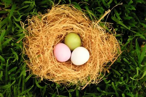 Easter egg and nest Stock Photos