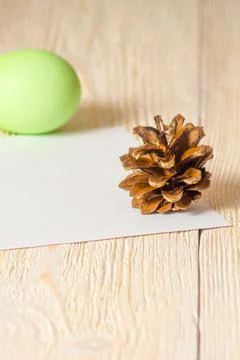 Easter egg and pine cone Stock Photos