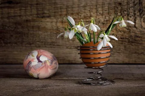 Easter egg and snowdrops in an egg stand Stock Photos