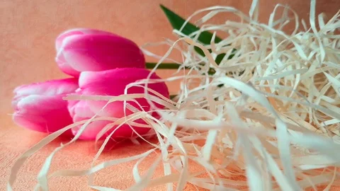 Easter egg and tulips Stock Footage 104154976