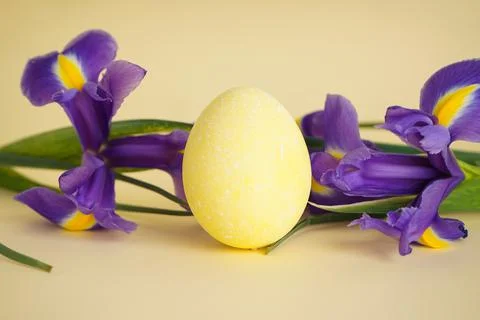 Easter egg on a background of flowers on a yellow background. Happy easter co Stock Photos