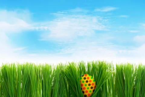 Easter egg behind grass Illustrazione stock