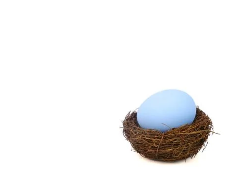 Easter egg in a bird nest Stock Photos