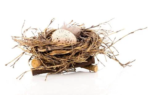 Easter egg in birds nest isolated on white background Stock Photos