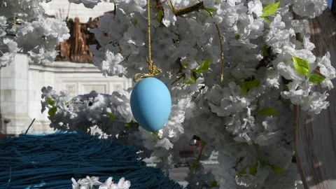Easter egg on blooming tree Stock Footage 239934360