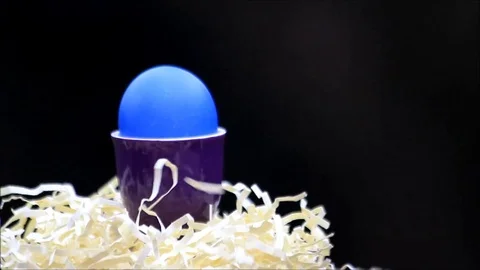 Easter Egg blue in purple egg cup, black background Video stock 80200174