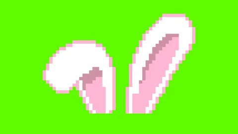 Easter egg bunny ears Stock Footage 237153172