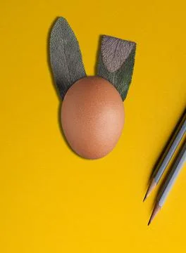 Easter egg bunny with ears made from fresh sage andpencils on yellow background. Stock Photos