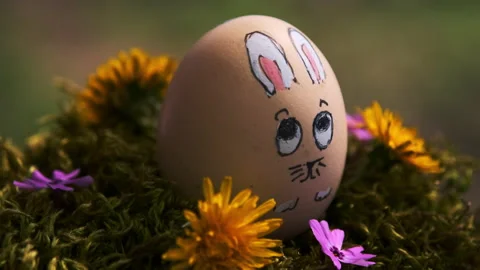 Easter Egg with Bunny Image - Easter in America Stock Footage 146993875
