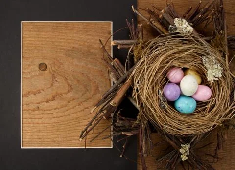 Easter egg candy in a nest with a frame Stock Photos