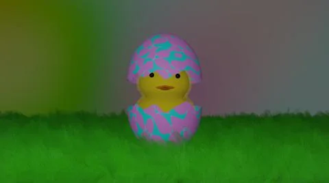 Easter Egg Chicken Stock Illustration