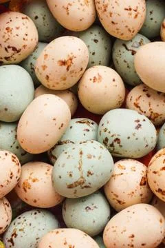 Easter Egg close up Stock Photos