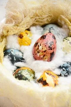 Easter egg close-up on a soft cotton pad. Basket with painted pastel colored Stock Photos