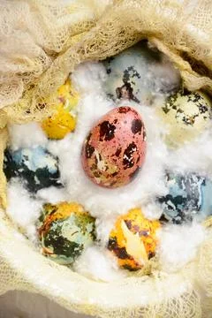 Easter egg close-up top view. Basket with painted pastel colored natural quail Stock Photos
