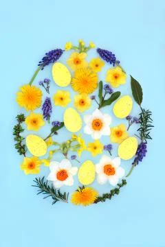 Easter Egg Concept with Eggs and Flowers Stock Photos