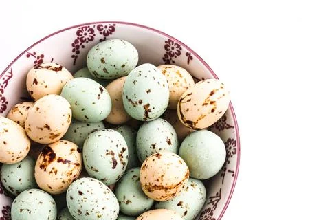 Easter Egg with copy space . Colorful Holiday eggs Stock Photos